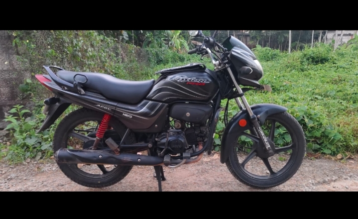 Passion plus for sale